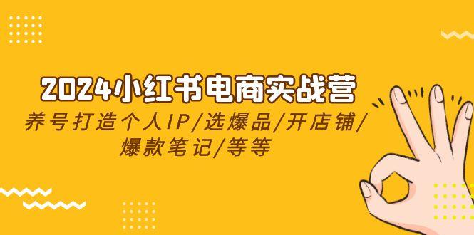 2024小红书电商实战营，养号打造IP/选爆品/开店铺/爆款笔记/等等(24节)-点子口袋网