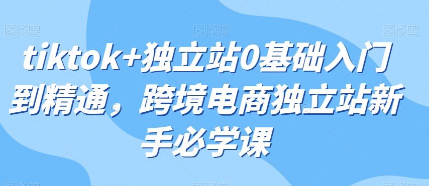 tiktok+独立站0基础入门到精通，跨境电商独立站新手必学课-点子口袋网