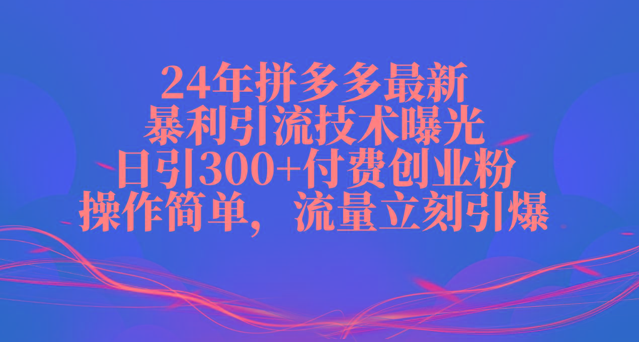 24年拼多多最新暴利引流技术曝光，日引300+付费创业粉，操作简单，流量...-点子口袋网