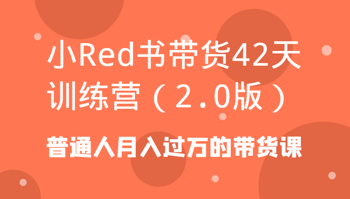 小Red书带货42天训练营(2.0版)普通人月入过万的带货课-点子口袋网