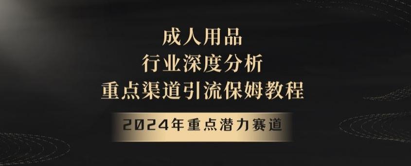 2024年重点潜力赛道，成人用品行业深度分析，重点渠道引流保姆教程【揭秘】-点子口袋网