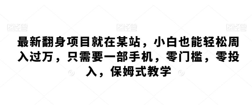 最新翻身项目就在某站，小白也能轻松周入过万，只需要一部手机，零门槛，零投入，保姆式教学-点子口袋网