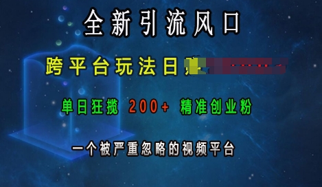 全新引流风口，跨平台玩法日入上k，单日狂揽200+精准创业粉，一个被严重忽略的视频平台-点子口袋网