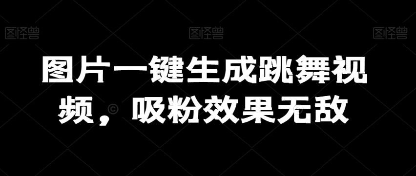 图片一键生成跳舞视频，吸粉效果无敌-点子口袋网
