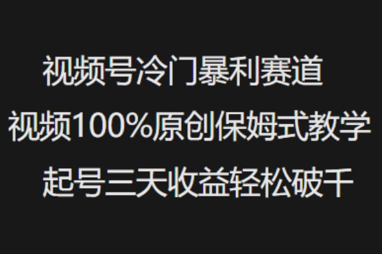 视频号冷门暴利赛道视频100%原创保姆式教学起号三天收益轻松破千-点子口袋网