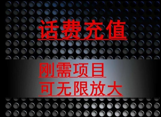 最新蓝海项目，刚需赛道，95折充话费月入5位数-点子口袋网