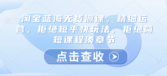 淘宝蓝海无货源课，精细运营，拒绝短平快玩法，拒绝简短课程凑章节-点子口袋网