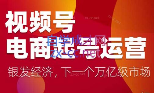 陈大黑牛·视频号电商起号运营课(更新到24年5月)-点子口袋网
