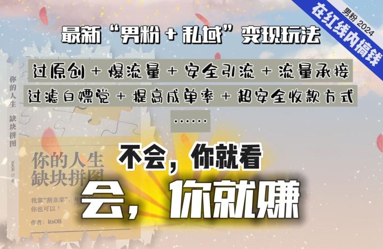 2024，“男粉+私域”还是最耐造、最赚、最轻松、最愉快的变现方式【揭秘】-点子口袋网