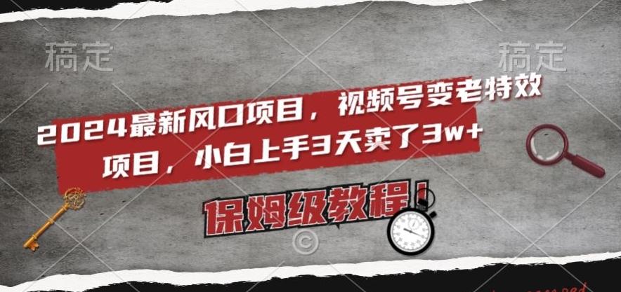 2024最新风口项目，视频号变老特效项目，电脑小白上手3天卖了3w+，保姆级教程【揭秘】-点子口袋网