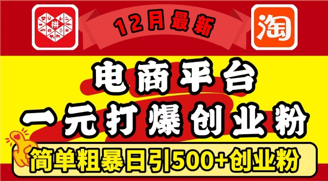 12月最新：电商平台1元打爆创业粉，简单粗暴日引500+精准创业粉，轻松月入过W【揭秘】-点子口袋网