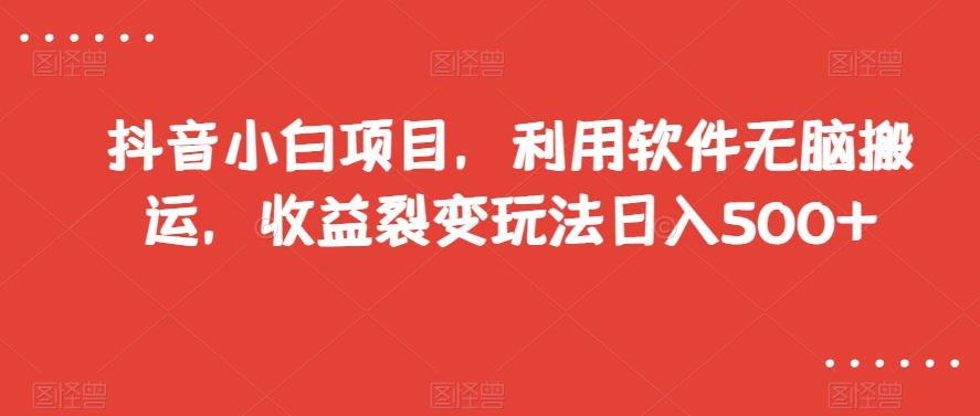 抖音小白项目，利用软件无脑搬运，收益裂变玩法日入500+【揭秘】-点子口袋网