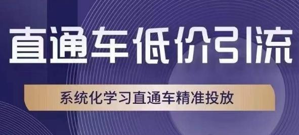 直通车低价引流课，系统化学习直通车精准投放-点子口袋网