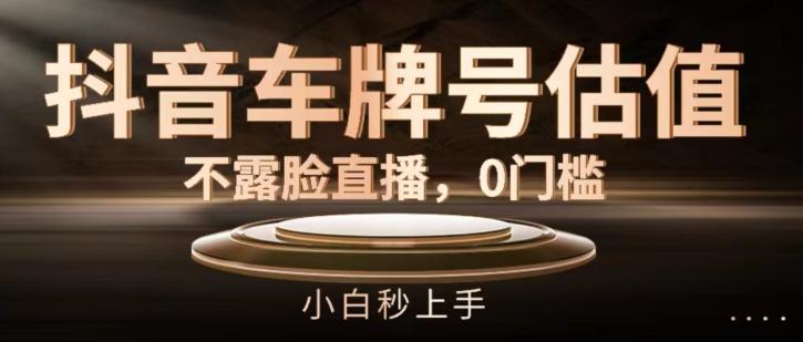 抖音车牌号估值，不露脸直播，0门槛，小白秒上手【揭秘】-点子口袋网