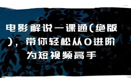 电影解说一课通(绝版)，带你轻松从0进阶为短视频高手-点子口袋网