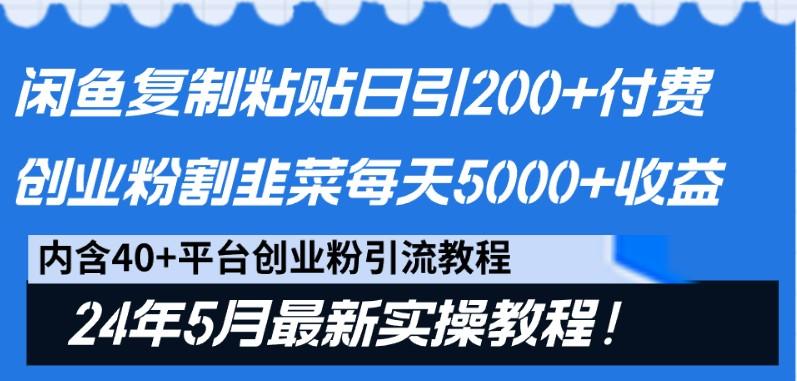 闲鱼复制粘贴日引200+付费创业粉，24年5月最新方法！割韭菜日稳定5000+收益-点子口袋网