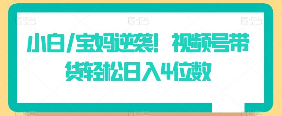 小白/宝妈逆袭！视频号带货轻松日入4位数【揭秘】-点子口袋网