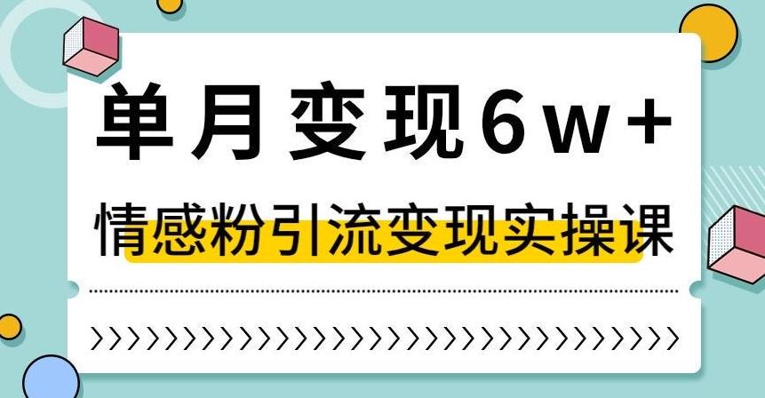 单月变现6W+，抖音情感粉引流变现实操课，小白可做，轻松上手，独家赛道【揭秘】-点子口袋网