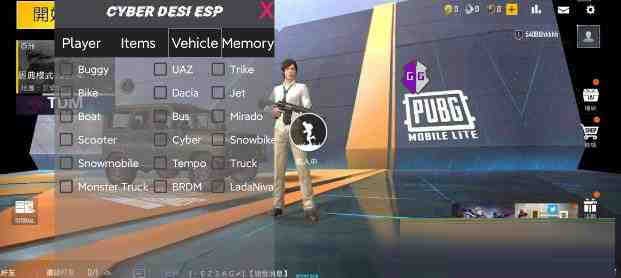 PUBG轻量老外裸奔绘制+自瞄 支持ROOT和框架 里面有全局离线-点子口袋网