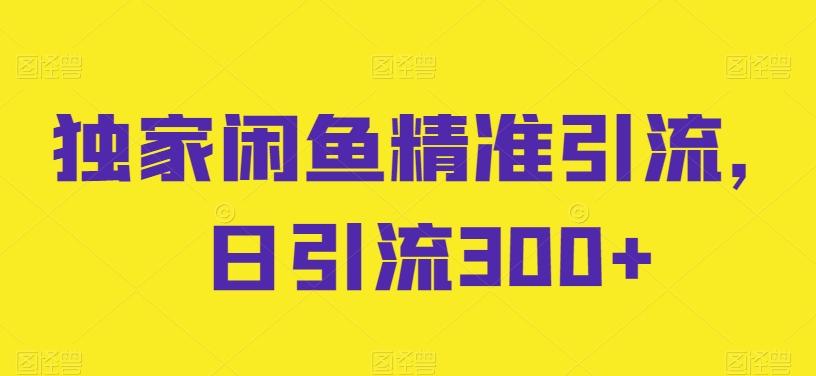 独家闲鱼精准引流，日引流300+【揭秘】-点子口袋网