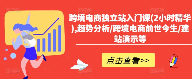 跨境电商独立站入门课(2小时精华),趋势分析/跨境电商前世今生/建站演示等-点子口袋网