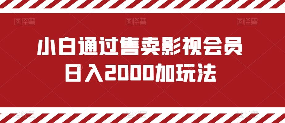 小白通过售卖影视会员日入2000加玩法-点子口袋网