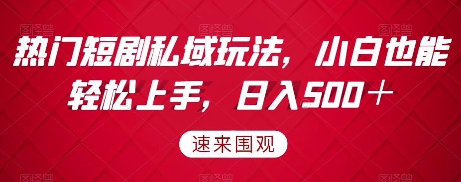 热门短剧私域玩法，小白也能轻松上手，日入500＋-点子口袋网