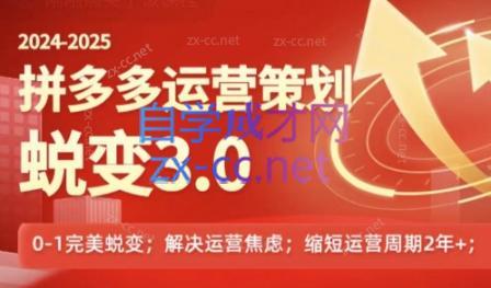 大力老师·2024拼多多运营策略蜕变3.0-点子口袋网
