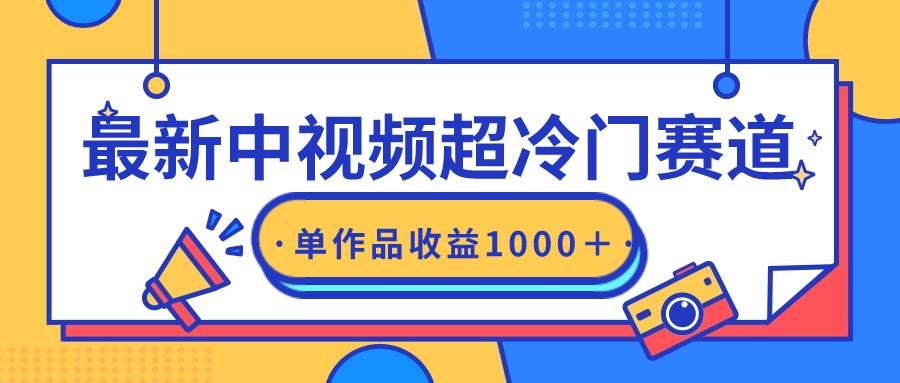 (9275期)最新中视频超冷门赛道，轻松过原创，单条视频收益1000＋-点子口袋网
