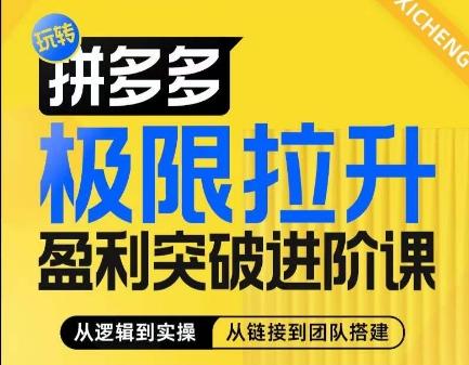 拼多多极限拉升盈利突破进阶课，​从算法到玩法，从玩法到团队搭建，体系化系统性帮助商家实现利润提升-点子口袋网