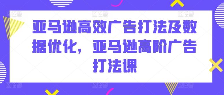 亚马逊高效广告打法及数据优化，亚马逊高阶广告打法课-点子口袋网
