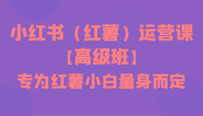 小红书(红薯)运营课【高级班】，专为红薯小白量身而定(42节课)-点子口袋网