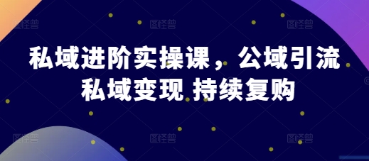 私域进阶实操课，公域引流 私域变现 持续复购-点子口袋网