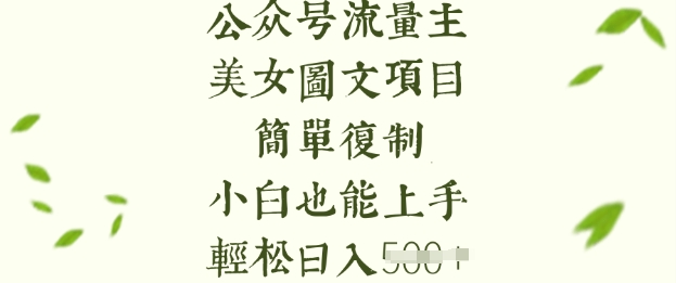 流量主长期收益项目，美女图片简单复制，小白也能上手，轻松日入5张-点子口袋网