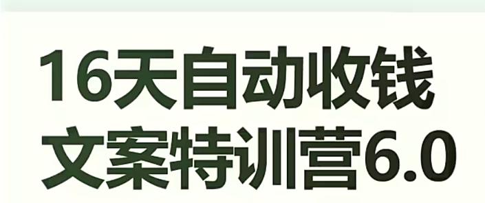 16天自动收钱文案特训营6.0，学会儿每天自动咔咔收钱-点子口袋网