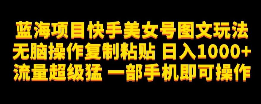 蓝海项目快手美女号图文玩法，无脑操作复制粘贴，日入1000+流量超级猛一部手机即可操作【揭秘】-点子口袋网
