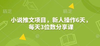 小说推文项目，新人操作6天，每天3位数分享课-点子口袋网