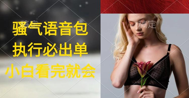 (9589期)执行就出单，日入2000+，超火骚气语音包，小白看完课程就能马上实操-点子口袋网