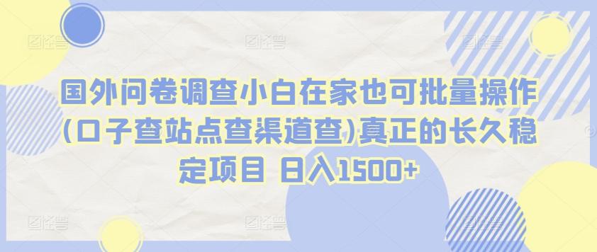 国外问卷调查小白在家也可批量操作(口子查站点查渠道查)真正的长久稳定项目 日入1500+【揭秘】-点子口袋网