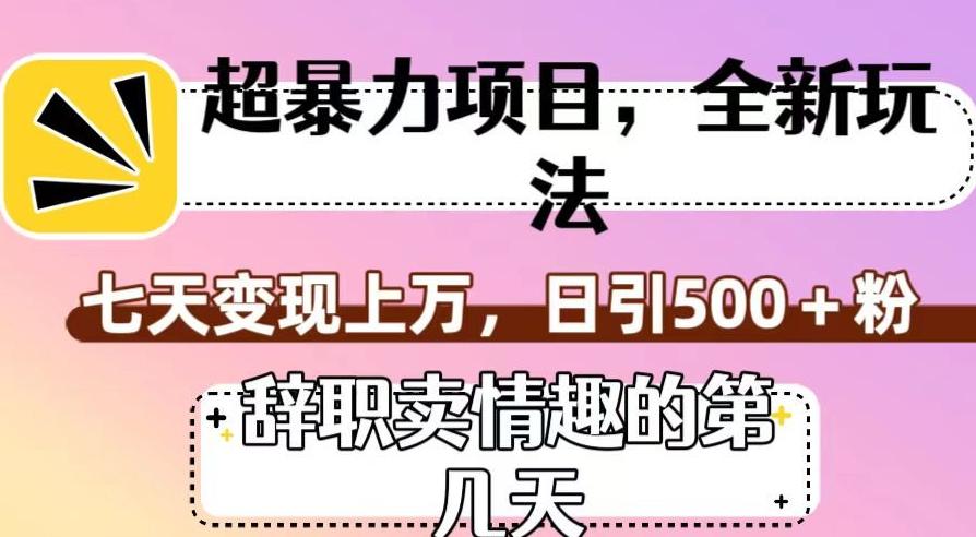 超暴利项目，全新玩法（辞职卖情趣的第几天），七天变现上万，日引500+粉【揭秘】-点子口袋网