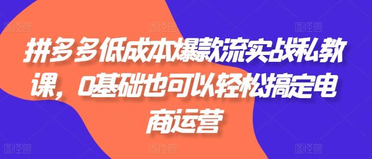 拼多多低成本爆款流实战私教课，0基础也可以轻松搞定电商运营-点子口袋网