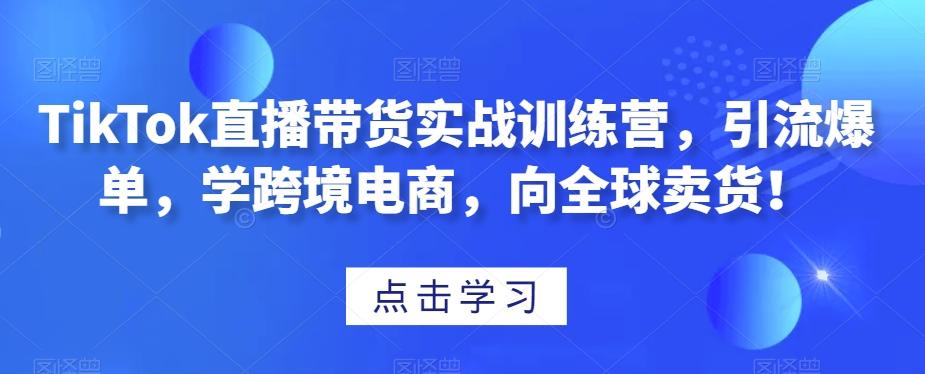 TikTok直播带货实战训练营，引流爆单，学跨境电商，向全球卖货！-点子口袋网