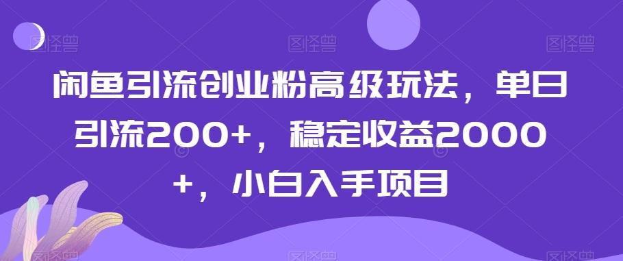 闲鱼引流创业粉高级玩法，单日引流200+，稳定收益2000+，小白入手项目-点子口袋网