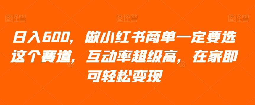 日入600，做小红书商单一定要选这个赛道，互动率超级高，在家即可轻松变现-点子口袋网