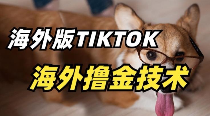 抖音海外版tiktok撸金技术，这个风口行业，赚钱真的不难【揭秘】-点子口袋网