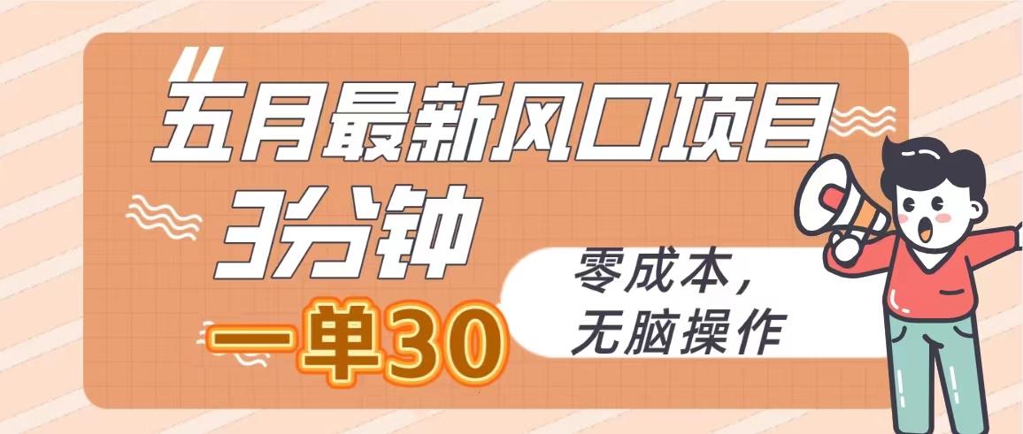 五月最新风口项目，3分钟一单30，零成本，无脑操作-点子口袋网