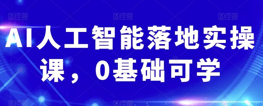 AI人工智能落地实操课，0基础可学-点子口袋网