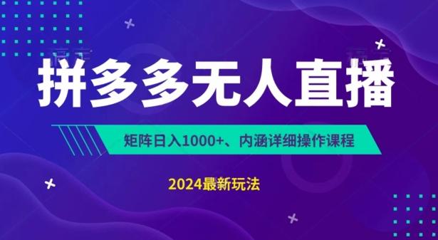 拼多多无人直播不封号，0投入，3天必起，无脑挂机，日入1k+【揭秘】-点子口袋网