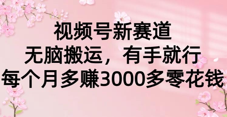 (9278期)视频号新赛道，无脑搬运，有手就行，每个月多赚3000多零花钱-点子口袋网