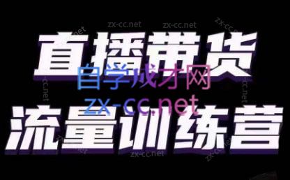 婉婉·直播带货课程系列合集(更新8月)-点子口袋网